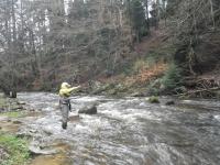 Pêche le 25-03-17 (14)