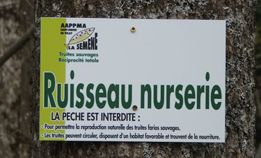 ruisseau-nurserie